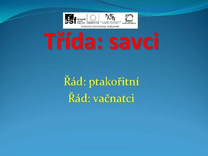 Třída: savci Řád: ptakořitní Řád: vačnatci 