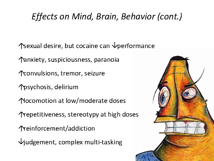 Effects on Mind, Brain, Behavior (cont. ) ásexual desire, but cocaine can âperformance áanxiety,