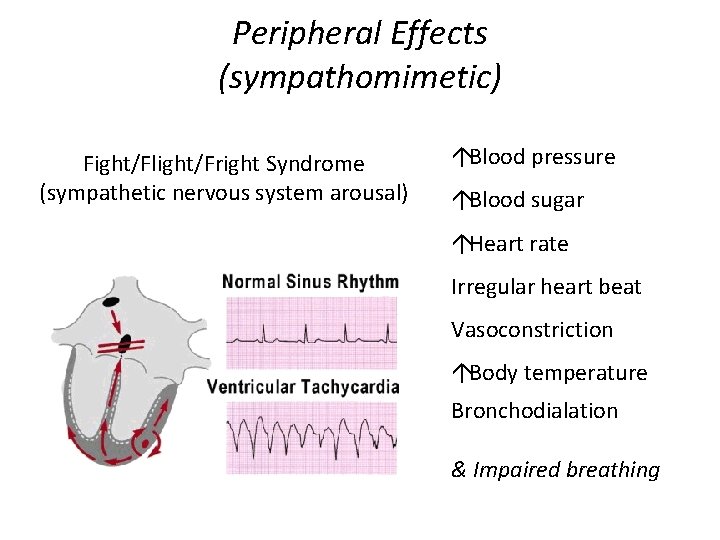 Peripheral Effects (sympathomimetic) Fight/Flight/Fright Syndrome (sympathetic nervous system arousal) áBlood pressure áBlood sugar áHeart
