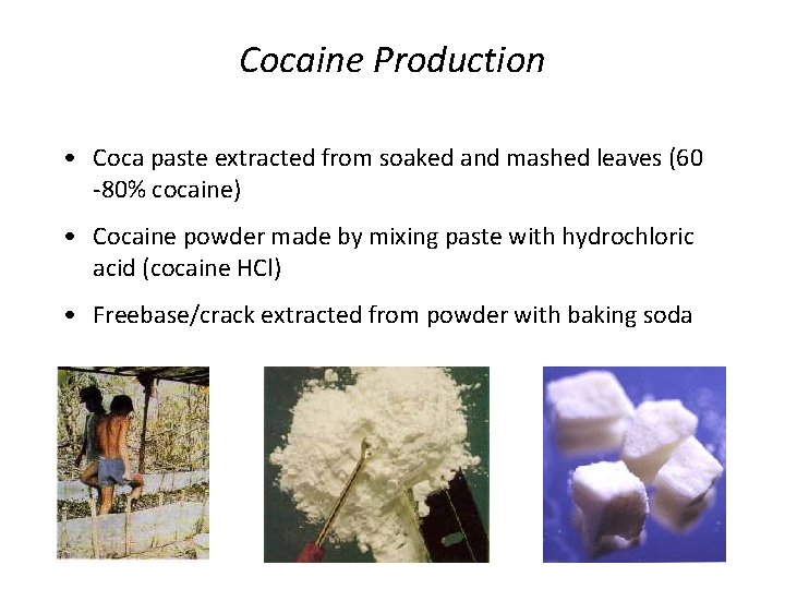 Cocaine Production • Coca paste extracted from soaked and mashed leaves (60 -80% cocaine)
