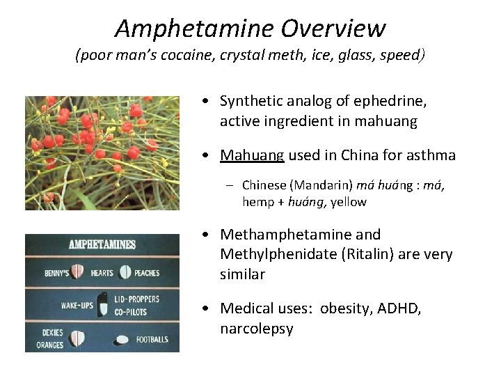 Amphetamine Overview (poor man’s cocaine, crystal meth, ice, glass, speed) • Synthetic analog of
