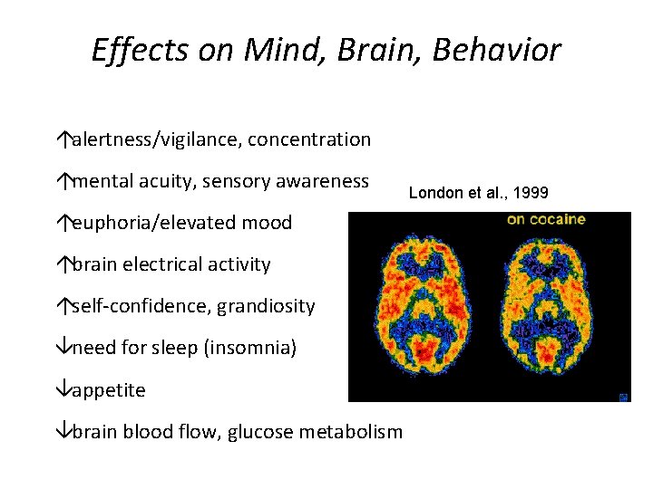 Effects on Mind, Brain, Behavior áalertness/vigilance, concentration ámental acuity, sensory awareness áeuphoria/elevated mood ábrain