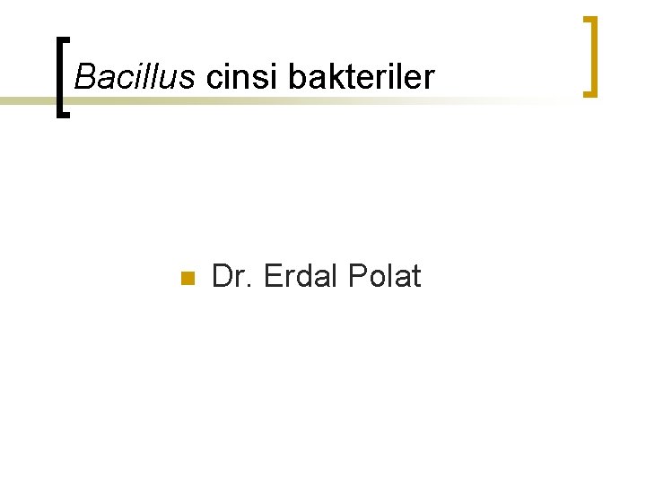 Bacillus cinsi bakteriler n Dr. Erdal Polat 