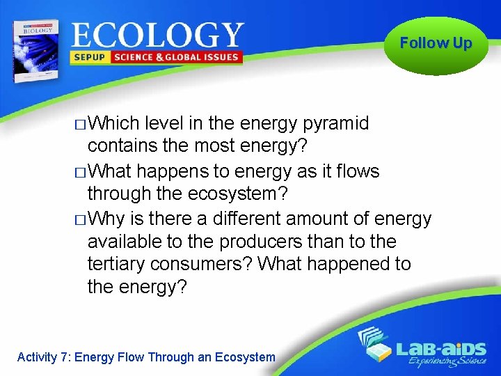Follow Up � Which level in the energy pyramid contains the most energy? �