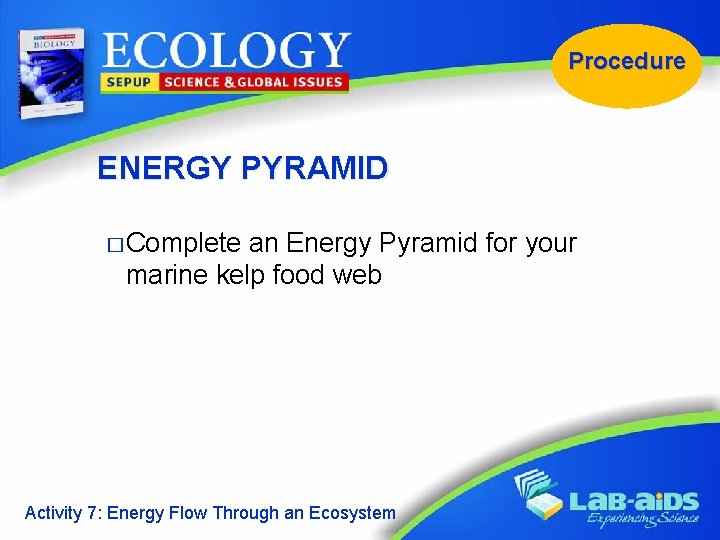 Procedure ENERGY PYRAMID � Complete an Energy Pyramid for your marine kelp food web