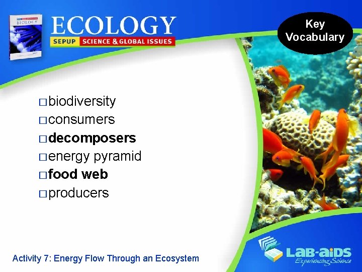 Key Vocabulary � biodiversity � consumers � decomposers � energy pyramid � food web