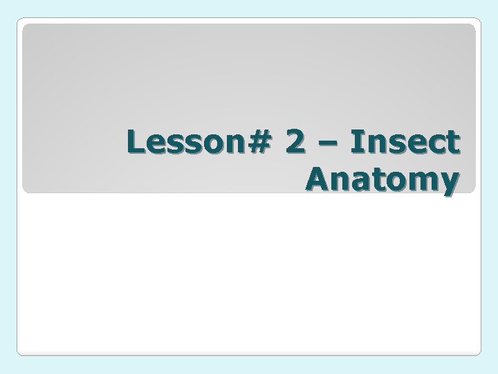 Lesson# 2 – Insect Anatomy Unit: Entomology Ms. Gutierrez 