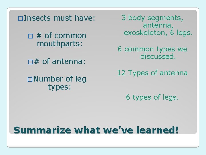 �Insects � must have: # of common mouthparts: �# of antenna: �Number of leg