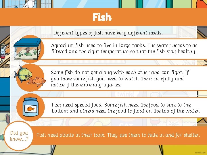Fish Different types of fish have very different needs. Aquarium fish need to live