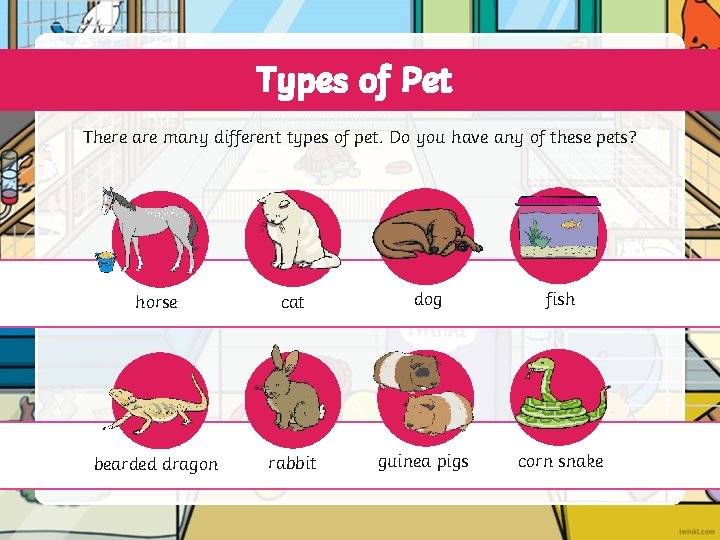 Types of Pet There are many different types of pet. Do you have any