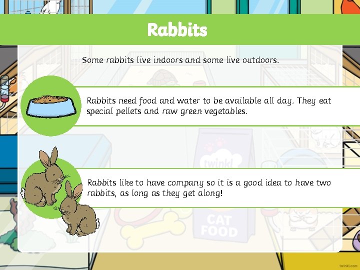Rabbits Some rabbits live indoors and some live outdoors. Rabbits need food and water Rabbits Some rabbits live indoors and some live outdoors. Rabbits need food and water