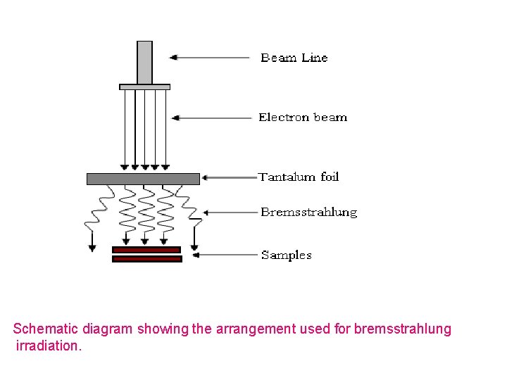 Schematic diagram showing the arrangement used for bremsstrahlung irradiation. 