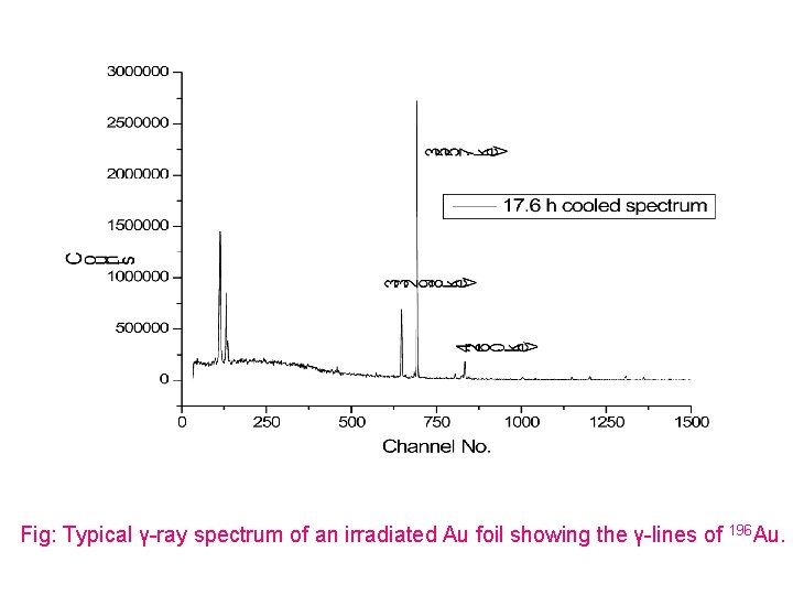 Fig: Typical γ-ray spectrum of an irradiated Au foil showing the γ-lines of 196