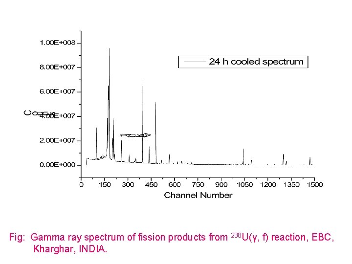 Fig: Gamma ray spectrum of fission products from 238 U(γ, f) reaction, EBC, Kharghar,
