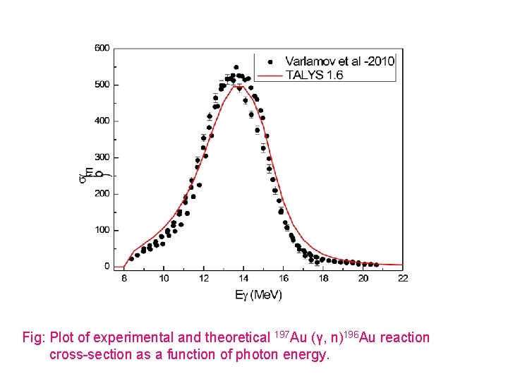 Fig: Plot of experimental and theoretical 197 Au (γ, n)196 Au reaction cross-section as