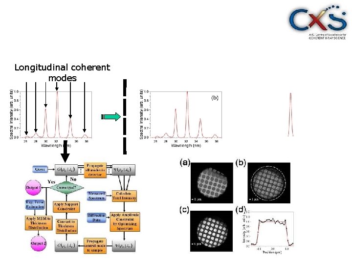 Longitudinal coherent modes 