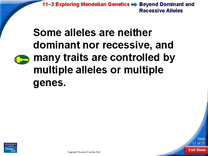 11– 3 Exploring Mendelian Genetics Beyond Dominant and Recessive Alleles Some alleles are neither