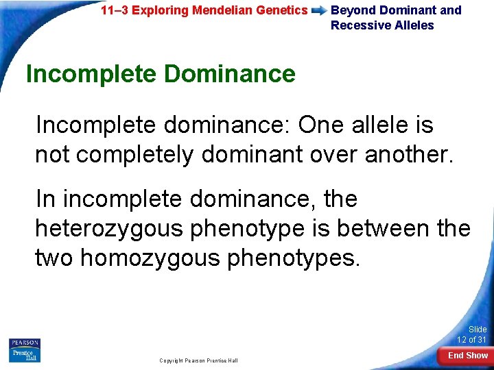 11– 3 Exploring Mendelian Genetics Beyond Dominant and Recessive Alleles Incomplete Dominance Incomplete dominance: