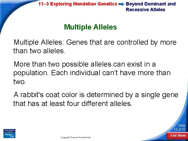 11– 3 Exploring Mendelian Genetics Beyond Dominant and Recessive Alleles Multiple Alleles: Genes that