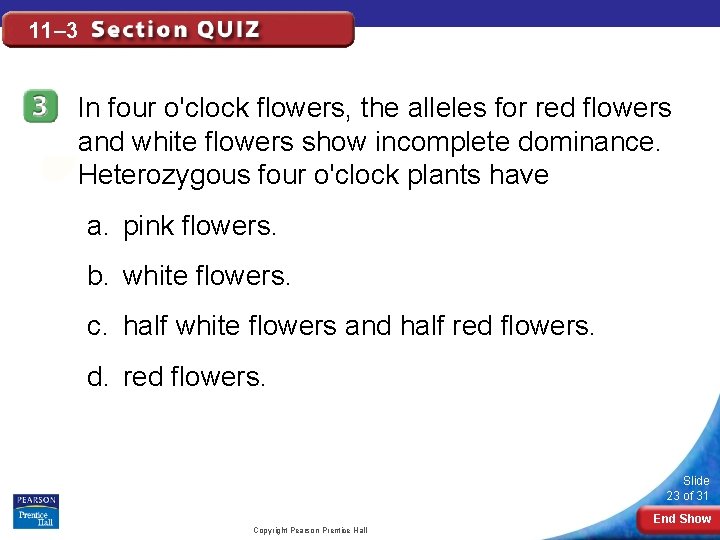 11– 3 In four o'clock flowers, the alleles for red flowers and white flowers