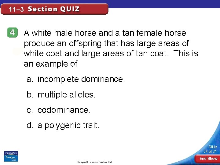 11– 3 A white male horse and a tan female horse produce an offspring