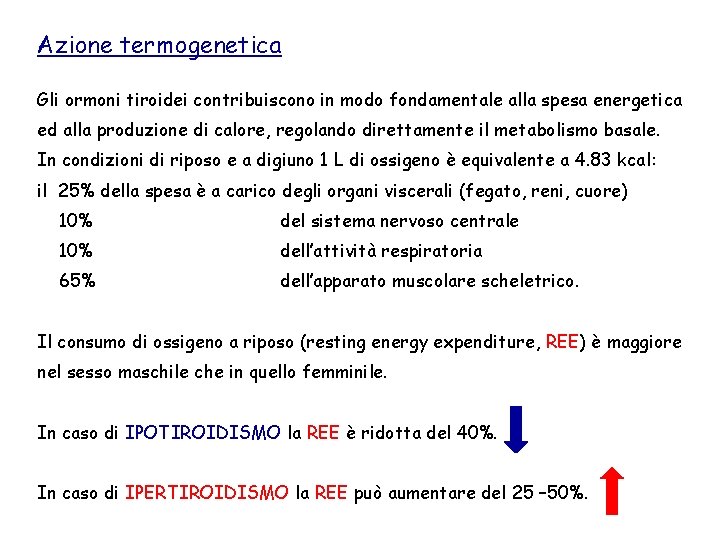 Azione termogenetica Gli ormoni tiroidei contribuiscono in modo fondamentale alla spesa energetica ed alla