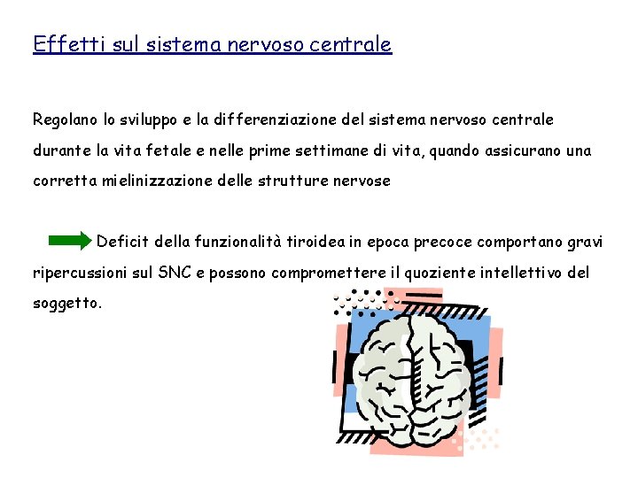 Effetti sul sistema nervoso centrale Regolano lo sviluppo e la differenziazione del sistema nervoso