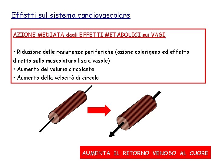 Effetti sul sistema cardiovascolare AZIONE MEDIATA dagli EFFETTI METABOLICI sui VASI • Riduzione delle