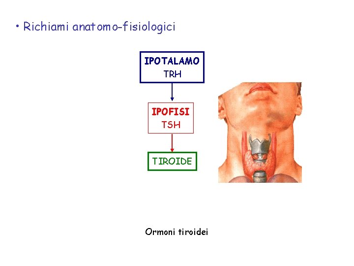  • Richiami anatomo-fisiologici IPOTALAMO TRH IPOFISI TSH TIROIDE Ormoni tiroidei 