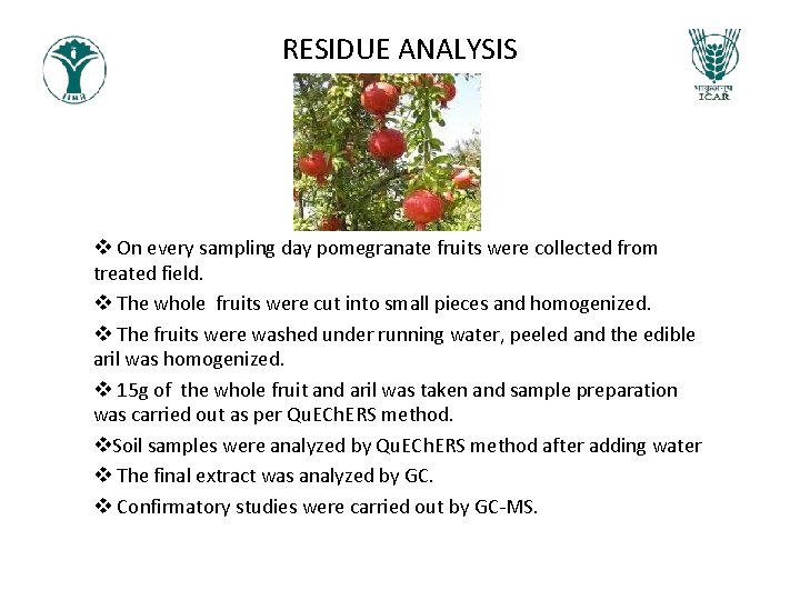 RESIDUE ANALYSIS v On every sampling day pomegranate fruits were collected from treated field. RESIDUE ANALYSIS v On every sampling day pomegranate fruits were collected from treated field.