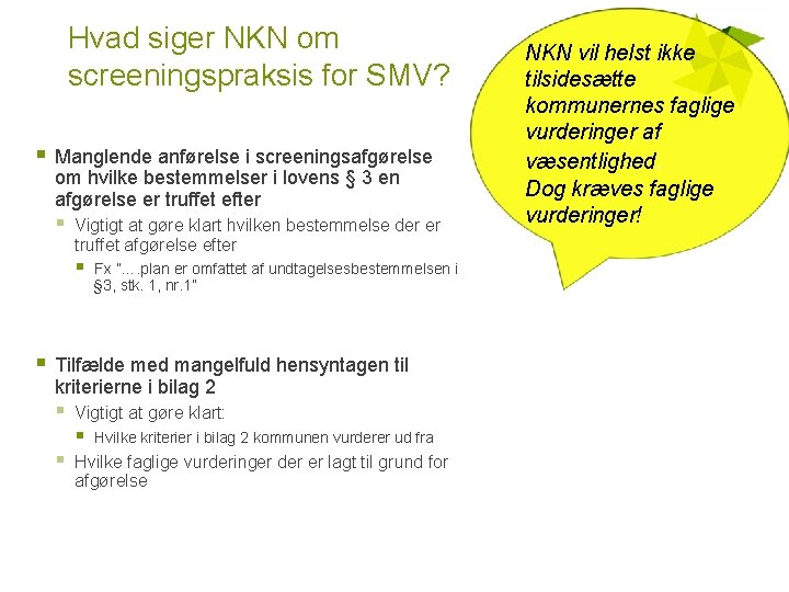 Hvad siger NKN om screeningspraksis for SMV? § Manglende anførelse i screeningsafgørelse om hvilke