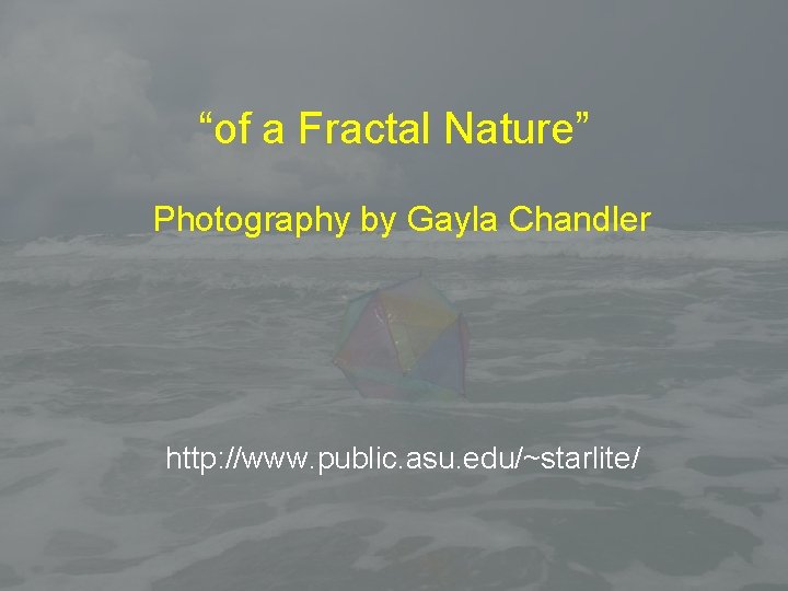 “of a Fractal Nature” Photography by Gayla Chandler http: //www. public. asu. edu/~starlite/ 