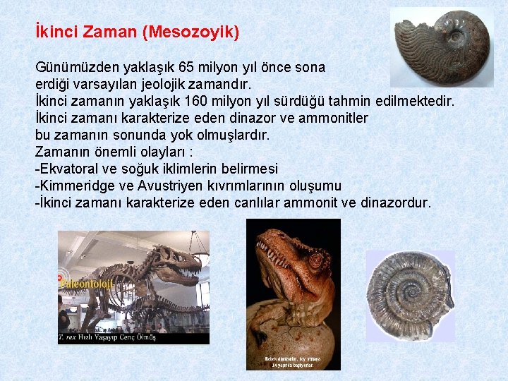 İkinci Zaman (Mesozoyik) Günümüzden yaklaşık 65 milyon yıl önce sona erdiği varsayılan jeolojik zamandır.