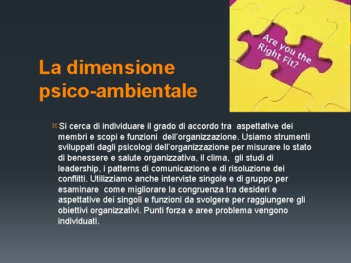 La dimensione psico-ambientale Si cerca di individuare il grado di accordo tra aspettative dei La dimensione psico-ambientale Si cerca di individuare il grado di accordo tra aspettative dei