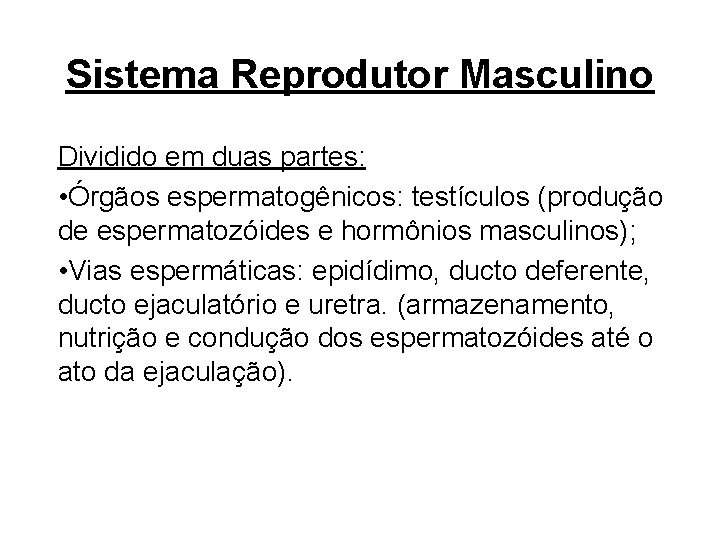 Sistema Reprodutor Masculino Dividido em duas partes: • Órgãos espermatogênicos: testículos (produção de espermatozóides
