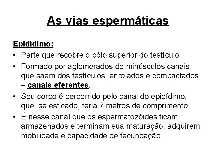 As vias espermáticas Epidídimo: • Parte que recobre o pólo superior do testículo. •