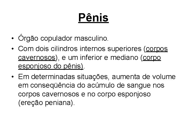 Pênis • Órgão copulador masculino. • Com dois cilindros internos superiores (corpos cavernosos), e