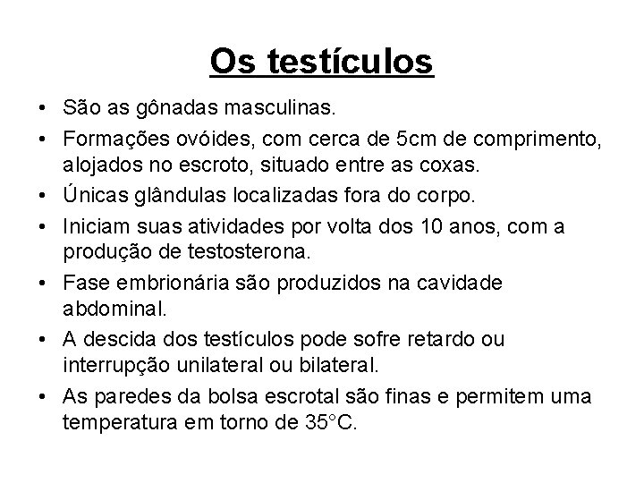 Os testículos • São as gônadas masculinas. • Formações ovóides, com cerca de 5