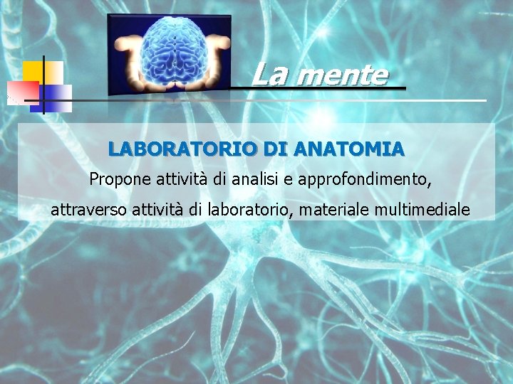 La mente LABORATORIO DI ANATOMIA Propone attività di analisi e approfondimento, attraverso attività di