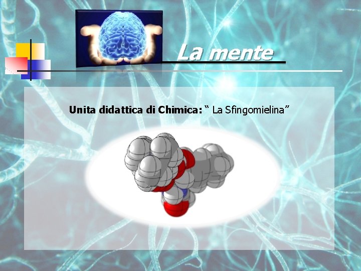 La mente Unita didattica di Chimica: “ La Sfingomielina” 