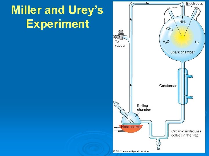 Miller and Urey’s Experiment Miller and Urey’s Experiment