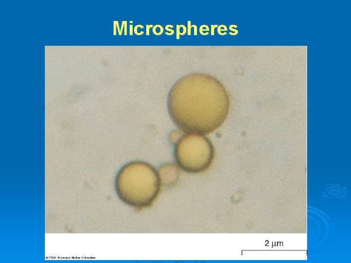 Microspheres Microspheres
