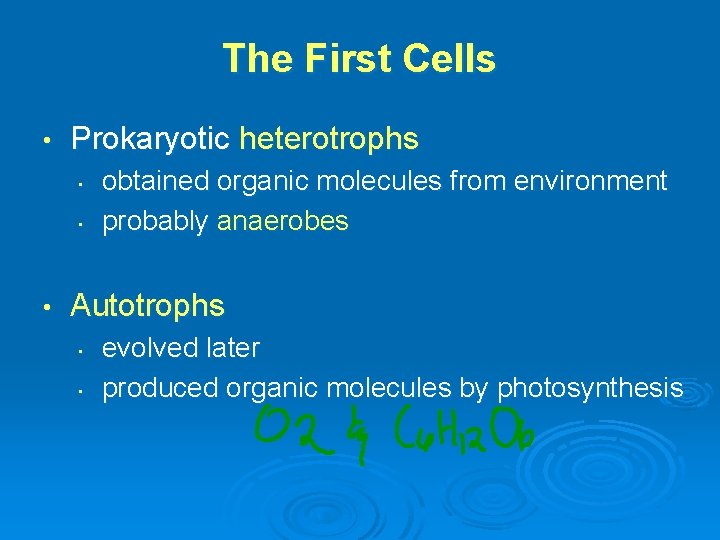 The First Cells • Prokaryotic heterotrophs • • • obtained organic molecules from environment The First Cells • Prokaryotic heterotrophs • • • obtained organic molecules from environment