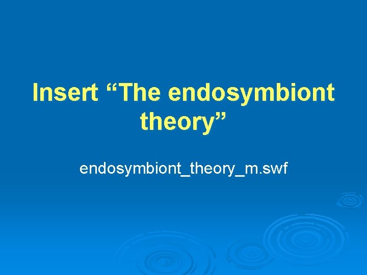 Insert “The endosymbiont theory” endosymbiont_theory_m. swf Insert “The endosymbiont theory” endosymbiont_theory_m. swf