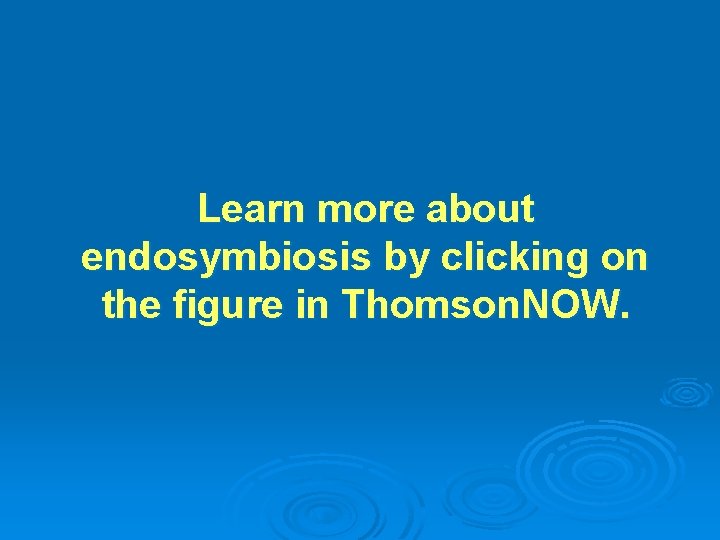 Learn more about endosymbiosis by clicking on the figure in Thomson. NOW. Learn more about endosymbiosis by clicking on the figure in Thomson. NOW.