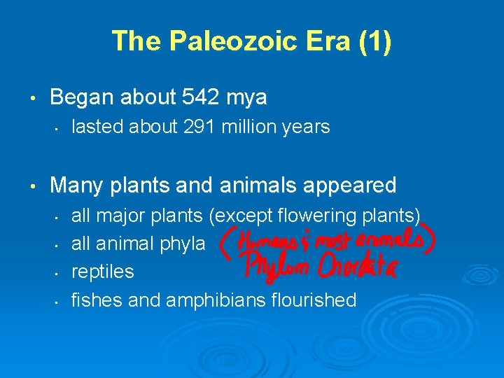 The Paleozoic Era (1) • Began about 542 mya • • lasted about 291 The Paleozoic Era (1) • Began about 542 mya • • lasted about 291