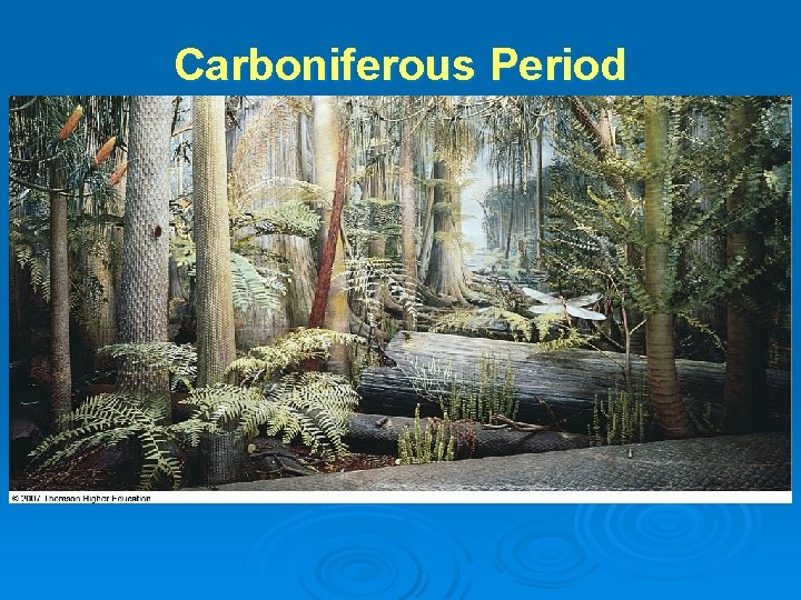 Carboniferous Period Carboniferous Period