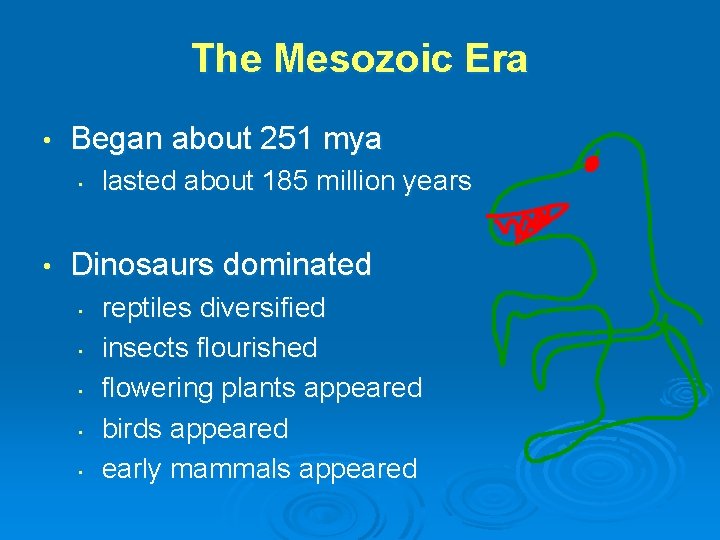 The Mesozoic Era • Began about 251 mya • • lasted about 185 million The Mesozoic Era • Began about 251 mya • • lasted about 185 million