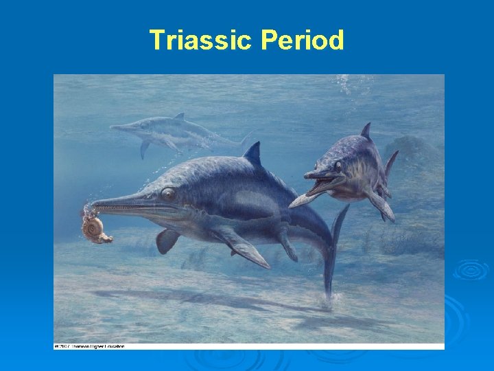 Triassic Period Triassic Period