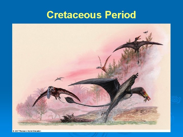 Cretaceous Period Cretaceous Period